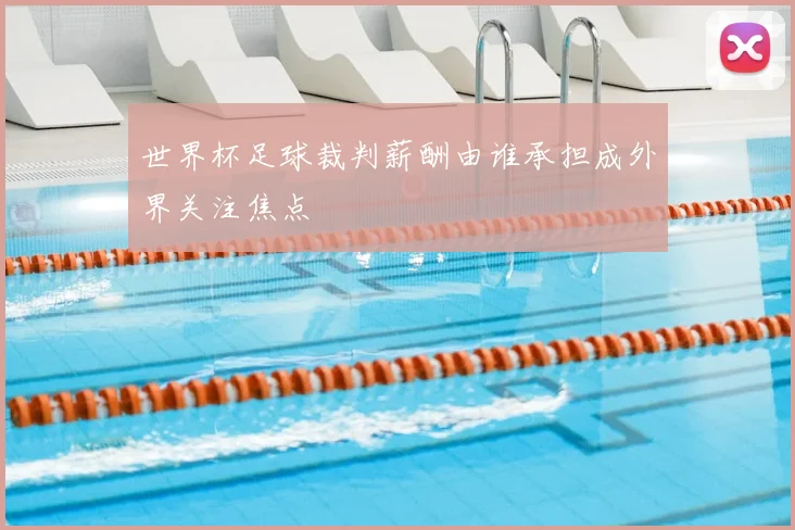 世界杯足球裁判薪酬由谁承担成外界关注焦点
