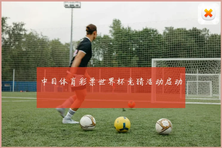 中目体育彩票世界杯竞猜活动启动