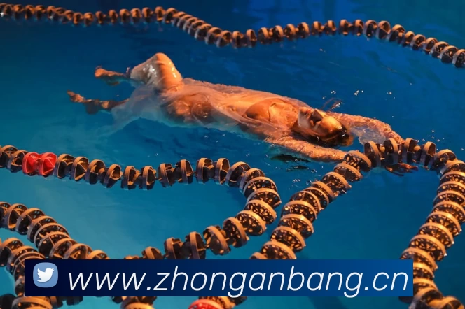 滚球官网appAPP 高清赛事图